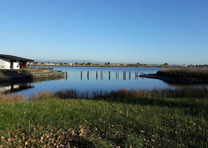 Aquahotel By Aqualeisure Hotel Ovar